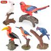 Oenux Bird Nest Animals Peacock Parrot Trogon Hornbill Owl Model PVC Action Figures Big Garden Decoration Cute Kids Toy Gift