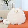 Cute Long-tailed Cat Plush Toy Fat Cat Doll Throw Pillow Doll Children's Companion Rag Doll Gift