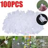 100PCS Plastic Seeding Grafting Clip Tomato Clip Gardening Accessories Grafting Clamp Plant Stand Grafting Tools