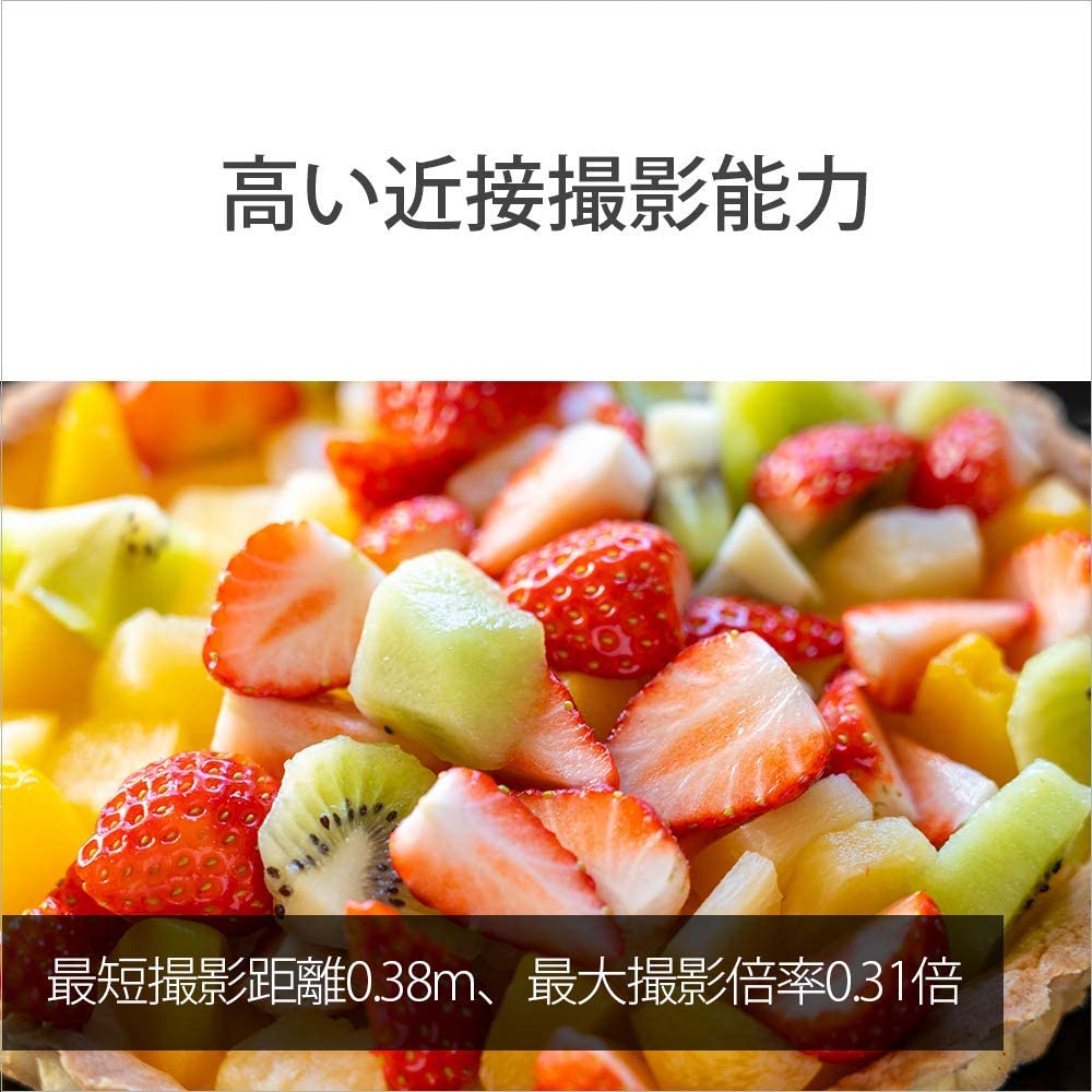 Sony Standard Zoom Lens Full Size FE 24-105mm F4 G OSS G Lens for Digital Single Lens Camera [E Mount] Genuine Lens SEL24105G