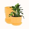 Plastic Round Flower Pots with Tray for Home Planters, Terrace, Garden Etc | Pack of 05 | Yellow | Size 8 Inch | for Home Indoor & Outdoor