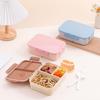 Plastic Bento Lunch Box Portable Lunchable Snack Containers  School Kids Office Worker