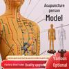 Traditional Chinese Medicine Acupuncture Model: Twelve Meridians Bronze Man Chart