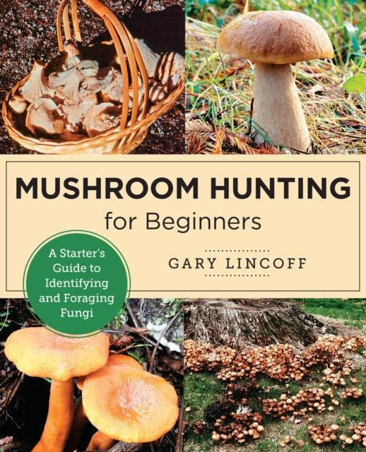 The Mushroom Hunting for Beginners : A Starter's Guide To Identifying and Foraging Fungi Book