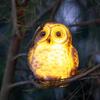 Solar Owl Garden Statue Solar Powered LED Night Lights Resin Animal Decor for Yard Patio Weatherproof Outdoor Ornament