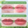 2.7G Sakura Light Fragrance Moisturizing Lip Balm, Autumn and Winter Anti-cracked Lip Balm, Lip Care, Women's Skin Care Products