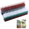 Plastic Bird And Pigeon Spikes Anti Cat Anti Pigeon Spike Birds Pest Control