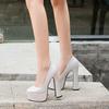 Women's Chunky High Heels Round Toe Pumps 14cm Heel 4cm Platform WZ