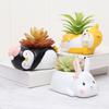 Succulent Flower Pot Small Lazy Diary Flower Pot