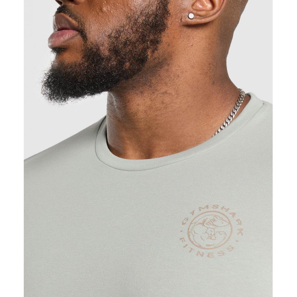 Gymshark Футболка Legacy Stone Grey A5a3b Gb7s