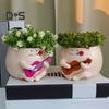 Guitar Smiling Face Planter Pot Resin Ukulele Head Flowerpot Indoor Outdoor Cactus Succulent Plants Container Home Balcony Garden Decoration