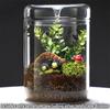 Glass Bottles Creativity Dew Collection Glass Vase Micro Landscape Succulent Moss Landscape Glass Terrarium Home Decor