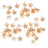 200Pcs Star Rivets 5‑Pointed Star Claw Nails DIY Bags Hats Decoration Accessories 10MMBlack