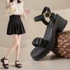 Fashion Fairy Style Thick Heels for Summer Wear In 2025, New Small and Thick Soles with Fashionable Beach Sandals