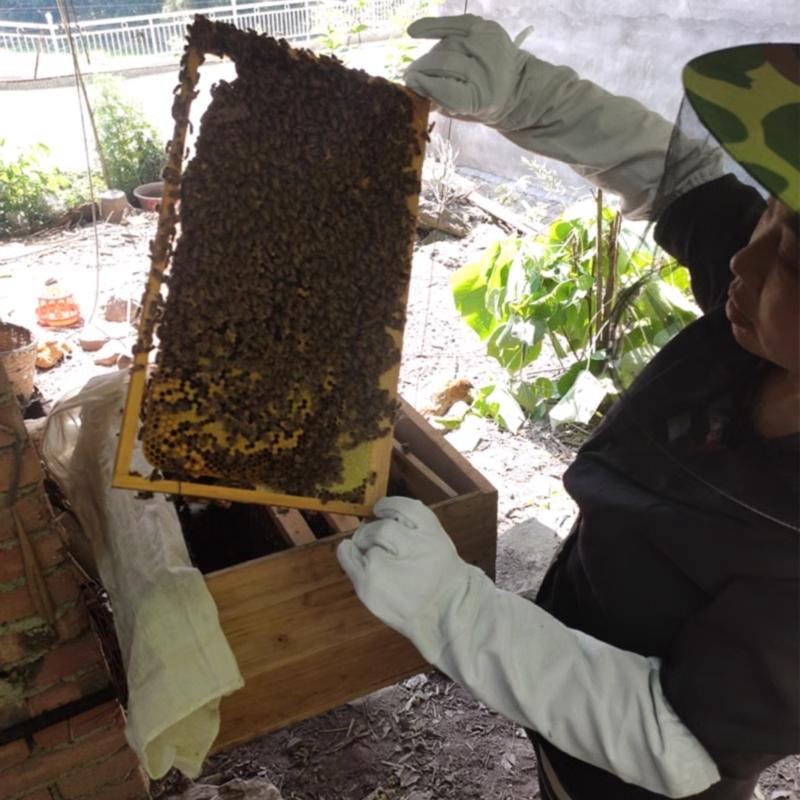 Beekeeping Gloves Anti-bee Anti-sting Canvas Gloves Protective Sleeves Breathable for Beekeeper Beekeeping Tools 1 Pairs