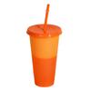 Color Changing Plastic Tumbler with Straw 24oz Reusable Cold Water Cup Leak-Proof Stackable Drinkware for Indoor Outdoor Use