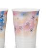 Kutani Ware Iwataya Pair of Free Cups, Hana No Mai (Flower Dance) AP7-0884