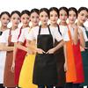 Women Restaurant Home Kitchen BBQ Working Cooking Apron