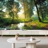 Forest Stream Wallpaper 3d Natural Scenery Wall Mural Living Room Bedroom Forest Mural Home Decor