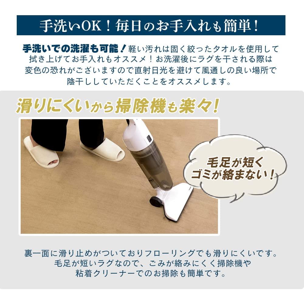 Freely Rug Carpet High Resilience Extra Thick 200 X Antibacterial and Thick Rug All Microfiber Size Rug, 25mm, 250cm, Anti-mite Treatment, Mat,