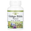 Ginkgo Biloba, Phytosome, 60Mg, 60 Capsules