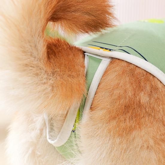 Pet Menstrual Pants Anti-Penetration Dog Diaper Sanitary Physiological Shorts Washable Menstrual Underwear Panties Absorbent Inner Pad for Untrained