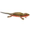 BH8141 HANSA Red-bellied Newt 23
