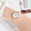 Wintique Visual Fashion Women's Luxury Metal Wristwatch