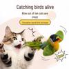 Cat Teaser: Feather Bird Toy for Kitten Chewing, Scratching, and Self-Entertainment