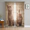 Cute Pets Cat Tulle Curtains for Living Room Printed Sheer Voile Curtain for Bedroom Window Screening Drapes Blinds Home Decor