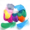 50Pcs/lot Natural Feathers 8-13cm Small Floating Goose Feather Colorful Feathers Plume For Decoration Plumes Craft