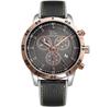 Watch Pierre Ricaud P60033.R217CH
