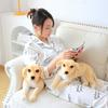 Cute Simulation Golden Retriever Doll Plush Toy Puppy Dog Doll Children Soothing Rag Doll Home Living Room Ornament