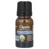 Organic Essential Oil, Eucalyptus, 0.33 Fl Oz (10 Ml)