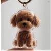 Cartoon Dog Shape Dog Hair Storage Box Hair Grooming Transparent Pet Hair Keychain Diy Handmade Acrylic Puppy Pendants Backpack