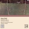CD HANS ROTT, J?RG-PETER WEIGLE; MUNIC - Rott: Symphony No 1/Orch Works 82876577482 Arte Nova Class 2004 Europe Classical Used