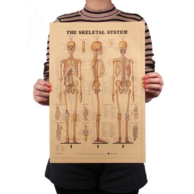 Human Paintings Body Function Structure Diagram Retro Style Kraft Paper Poster
