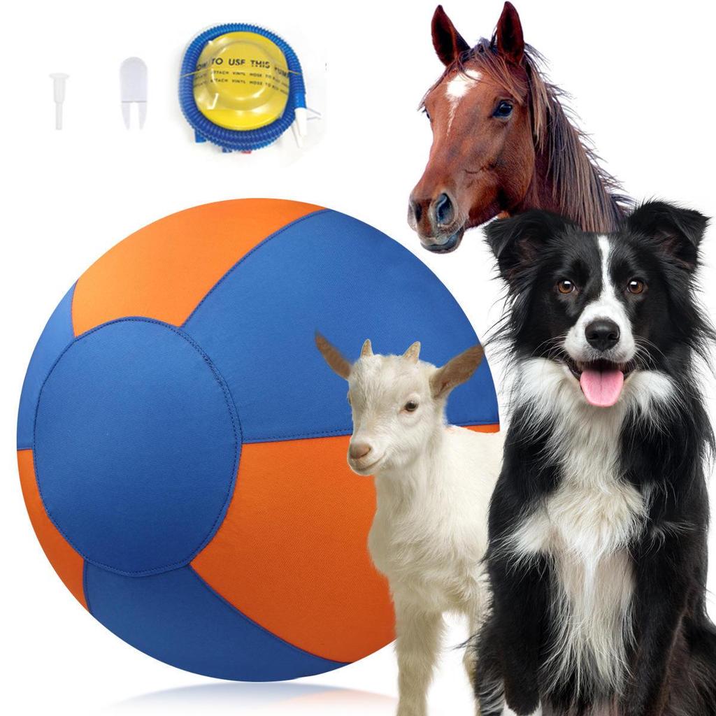 Durable Interactive Dog Ball for Molar Relief - Suitable for Golden Retrievers, Corgis, Border Collies, and More.