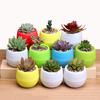 Flower Pots Mini Flowerpot Garden Plastic For Succulent Plants Desktop Nursery Pots Flower Pots Home Decor Mini Flower Pots