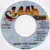 7inch Record MR. LEXX - What You Want NONE 144b Black Scor 2000 Jamaica Reggae, Ska & Dub Used