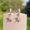 1 Pair Stylish Zircon Snowflake Dangle Earrings for Women Daily Jewelry Christmas Party Accessories