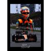F1 Racer Collectible Series Poster Print Canvas Art Pictures Home for Living Room and Bedroom Wall Decor Frameless Painting