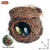 Oenux Bird Nest Animals Peacock Parrot Trogon Hornbill Owl Model PVC Action Figures Big Garden Decoration Cute Kids Toy Gift