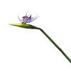 Artificial Flower Lifelike Bird of Paradise Realistic Non-fading And Low Maintenance Home Decoration