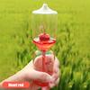 Love Meter Hand Boiler Thermometer Spiral Glass Educational Toys Science Energy Museum Toy Valentine'S Day Gifts