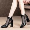 2025 Summer New Sandals Women's Thick Heel Korean Version High Heels Pointed Net Boots Cool Boots Women's Fashion Single Shoes