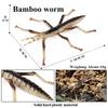 Oenux Simulation Dragonfly Grasshopper Centipede Wild Insect Animals Model Action Figures Miniature Education Collection Kid Toy