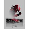 F1 Racer Collectible Series Poster Print Canvas Art Pictures Home for Living Room and Bedroom Wall Decor Frameless Painting