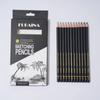 Professional Drawing Sketching Pencil Set, 12 Pieces Art Pencils Graphite Shading Pencils for Beginners & Pro Artists