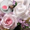 1PC Latest Meridians Flower Silicone Cake Mold Sugar Tool Versatil Rose Petals Veiner Sugar Tool